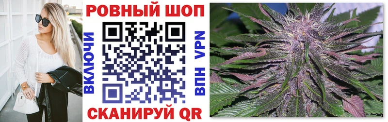 Купить закладку Новая Ладога Конопля  Cocaine  Гашиш  СОЛЬ  ОМГ ОМГ tor  Меф мяу мяу 