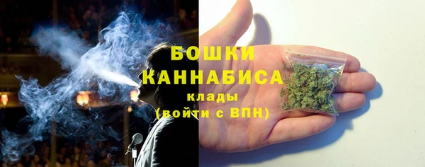 стаф Осинники