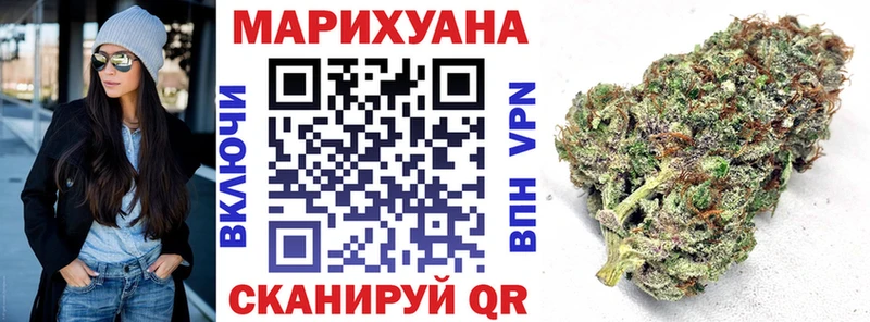Бошки Шишки план Новая Ладога