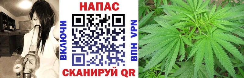 Бошки Шишки конопля гидра сайт Новая Ладога наркошоп